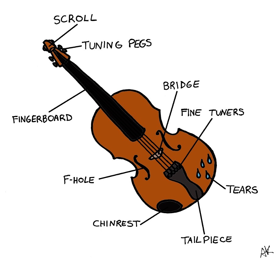 Viola перевод песни. Violin Parts. Components of Violin. Произношение Violin. Violin Hips Тип.